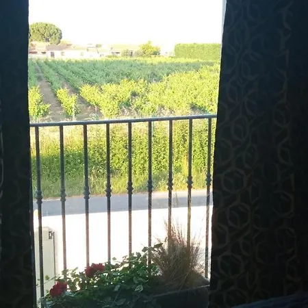 Дом отдыха Neuf Et Moderne Au Coeur De La Camargue Сен-Лоран-Д'Эгуз