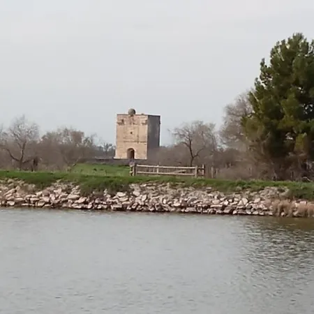 Neuf Et Moderne Au Coeur De La Camargue *