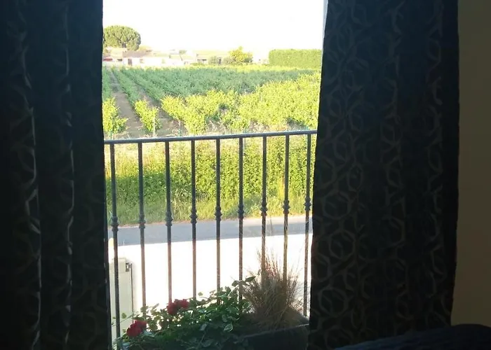 Сasa de vacaciones Neuf Et Moderne Au Coeur De La Camargue Saint-Laurent-dʼAigouze