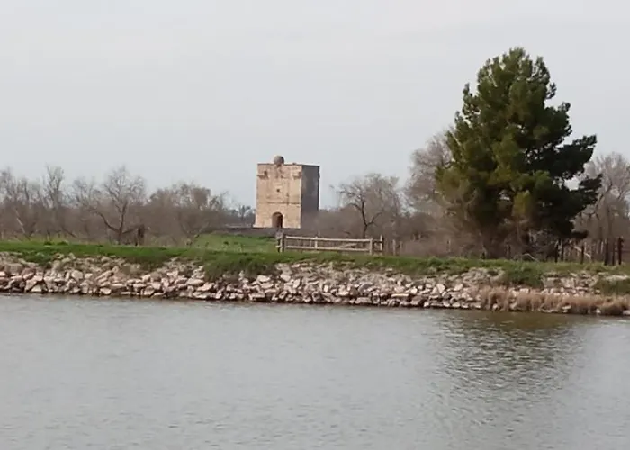 Neuf Et Moderne Au Coeur De La Camargue *