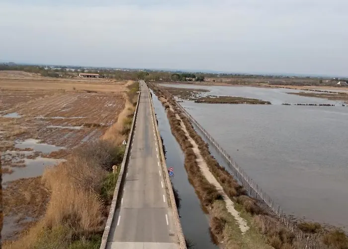 Neuf Et Moderne Au Coeur De La Camargue * Saint-Laurent-dʼAigouze
